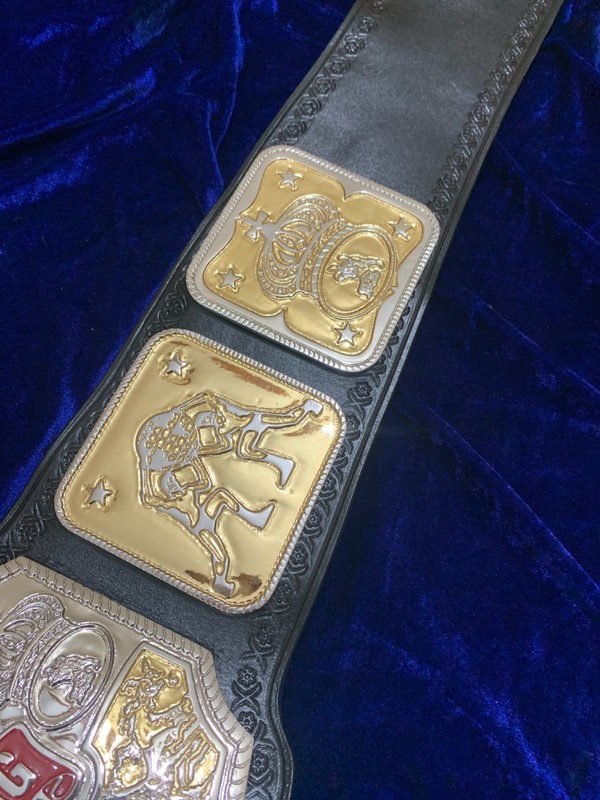 NWA Pacific Northwest Championship Belt – Dual Plated – 4mm Zinc – Real Leather gallery
