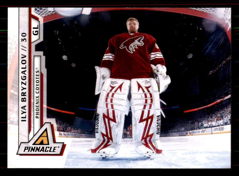 2010-11 Panini Pinnacle #53 Ilya Bryzgalov Phoenix Coyotes