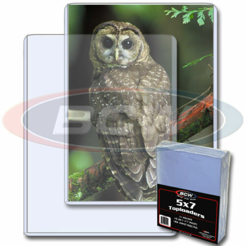 10 25 50 PK BCW 5 x 7 Hard Plastic Rigid Topload Photo Holders 5 x 7 toploaders