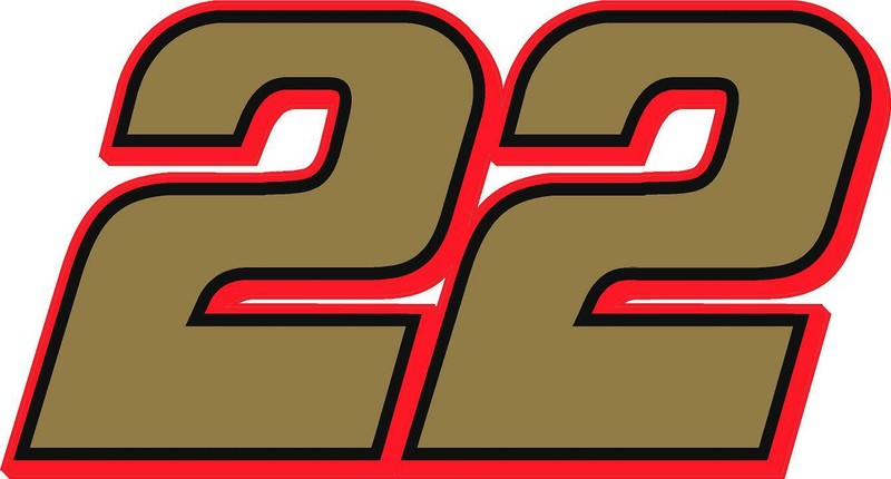 NEW FOR 2022 #22 Joey Logano Racing Sticker Decal – Sm thru XL – Various colors