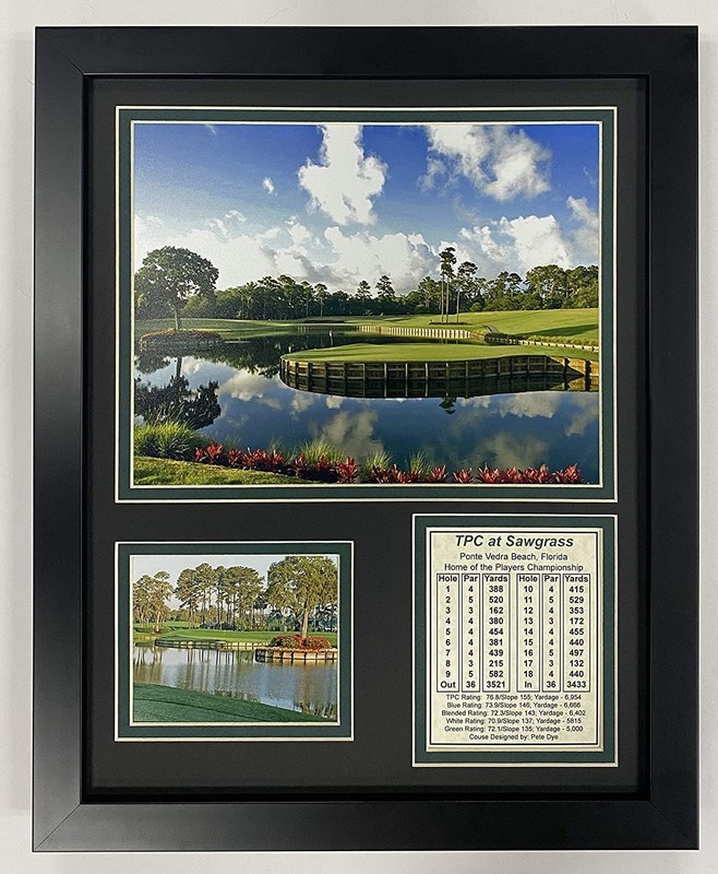 TPC Sawgrass Hole #17 at The Players Championship Collectible | Framed Photo Col
